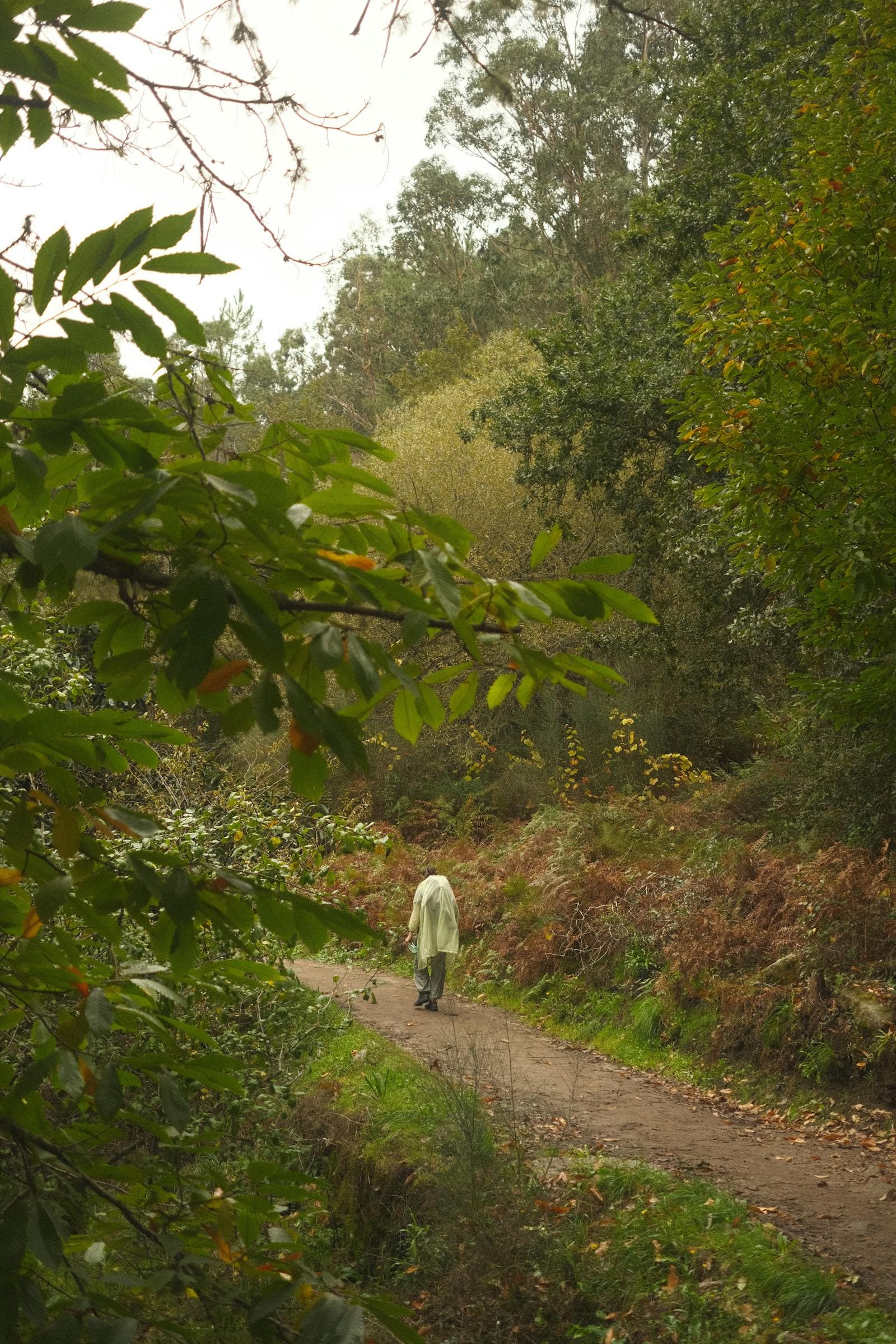 Sarria → Portomarín