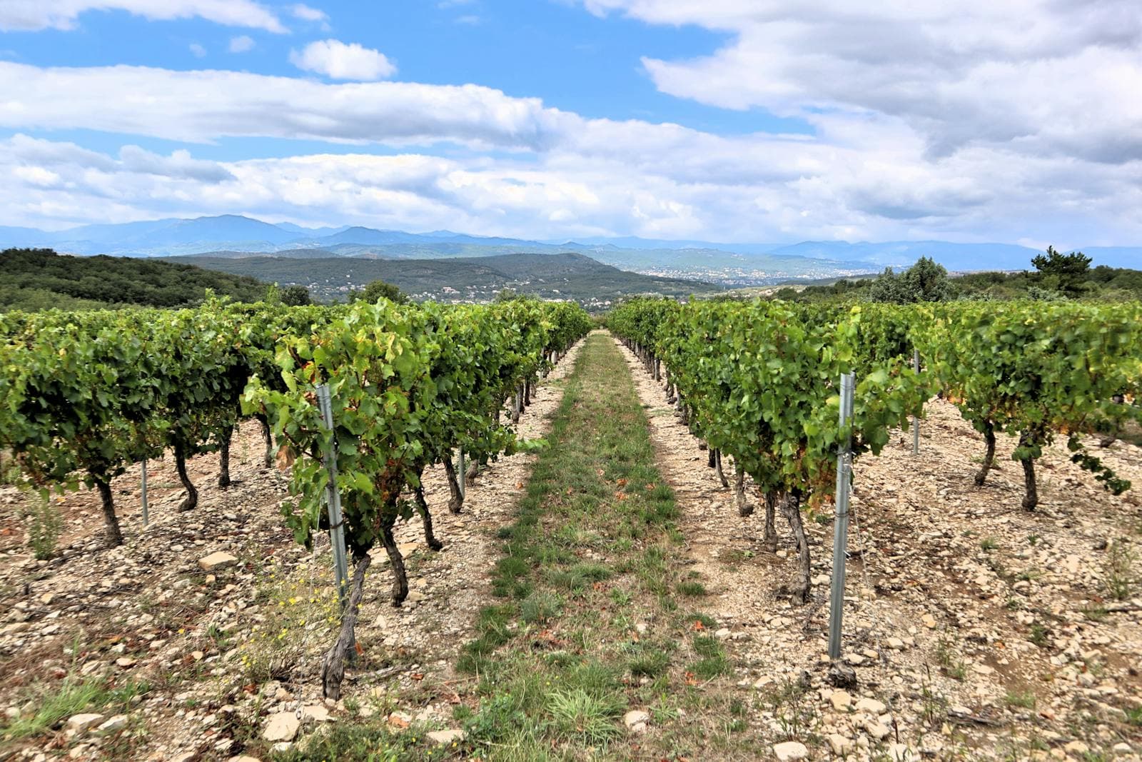 Penedès → Zaragoza