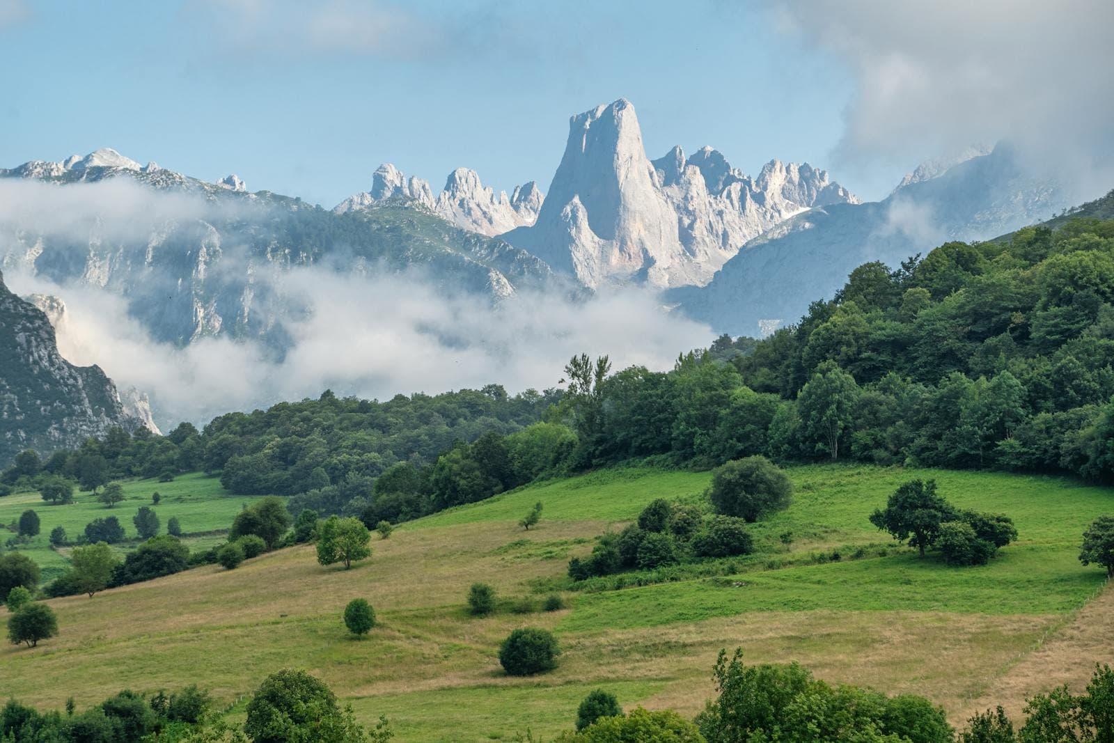 Picos de Europa